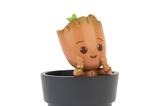 03-portalapices-groot-de-marvel.jpg