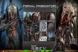 21-Prey-Figura-16-Feral-Predator-37-cm.jpg