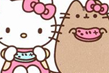 01-Pusheen-Popcorn-Maker-Hello-Kitty.jpg