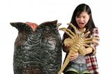 06-replica-xenomorph-egg-y-facehugger.jpg