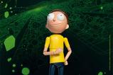 05-Rick-and-Morty-Figura-Dynamic-8ction-Heroes-19-Morty-Smith-23-cm.jpg