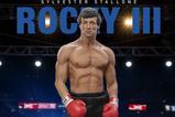 01-Rocky-III-Estatua-14-Rocky-Balboa-46-cm.jpg