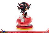 23-SEGA-Resin-Estatua-Shadow-the-Hedgehog-25-cm.jpg