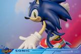 15-SEGA-Resin-Estatua-Sonic-the-Hedgehog-245-cm.jpg