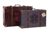 02-set-2-maletas-harry-potter-alumni.jpg