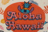 02-Set-bowls-aloha-hawaii-Lilo-y-Stitch.jpg