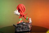 10-Sonic-the-Hedgehog-2-Estatua-Knuckles-Standoff-30-cm.jpg