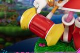 16-Sonic-the-Hedgehog-Estatua-Amy-35-cm.jpg