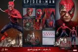 17-SpiderMan-Figura-Movie-Masterpiece-16-SpiderMan-Battle-Damaged-Version-30.jpg