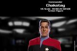 07-Star-Trek-Voyager-Figura-16-Commander-Chakotay-30-cm.jpg