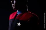 12-Star-Trek-Voyager-Figura-16-Commander-Chakotay-30-cm.jpg