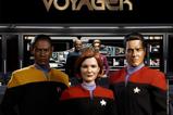 13-Star-Trek-Voyager-Figura-16-Commander-Chakotay-30-cm.jpg