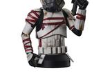 11-star-wars-ahsoka-busto-16-night-trooper-15-cm.jpg