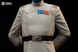 13-Star-Wars-Ahsoka-Estatua-110-Art-Scale-Grand-Admiral-Thrawn-25-cm.jpg