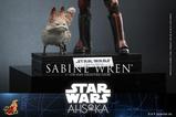 18-Star-Wars-Ahsoka-Figura-16-Sabine-Wren-28-cm.jpg
