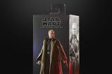 13-Star-Wars-Andor-Black-Series-Figura-Luthen-Rael-15-cm.jpg