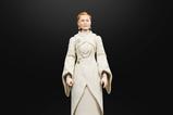 12-Star-Wars-Andor-Black-Series-Figura-Senator-Mon-Mothma-15-cm.jpg