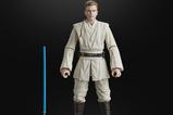 03-Star-Wars-Black-Series-Archive-Figura-ObiWan-Kenobi-Padawan-15-cm.jpg