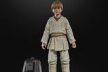 06-star-wars-episode-i-black-series-figura-anakin-skywalker-15-cm.jpg