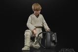 09-star-wars-episode-i-black-series-figura-anakin-skywalker-15-cm.jpg