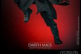 08-Star-Wars-Episode-I-Figura-Movie-Masterpiece-16-Darth-Maul-29-cm.jpg