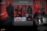 12-Star-Wars-Episode-I-Figura-Movie-Masterpiece-16-Darth-Maul-29-cm.jpg