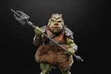 07-Star-Wars-Episode-VI-40th-Anniversary-Black-Series-Figura-Deluxe-Gamorrean-Gua.jpg