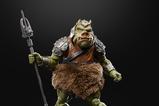 08-Star-Wars-Episode-VI-40th-Anniversary-Black-Series-Figura-Deluxe-Gamorrean-Gua.jpg