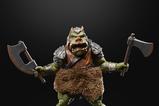 09-Star-Wars-Episode-VI-40th-Anniversary-Black-Series-Figura-Deluxe-Gamorrean-Gua.jpg