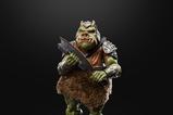 10-star-wars-episode-vi-40th-anniversary-black-series-figura-deluxe-gamorrean-gua.jpg