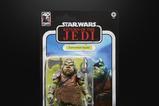 12-Star-Wars-Episode-VI-40th-Anniversary-Black-Series-Figura-Deluxe-Gamorrean-Gua.jpg