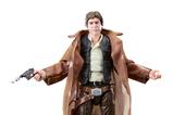 02-Star-Wars-Episode-VI-40th-Anniversary-Black-Series-Figura-Han-Solo-Endor-15-.jpg