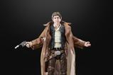 07-Star-Wars-Episode-VI-40th-Anniversary-Black-Series-Figura-Han-Solo-Endor-15-.jpg