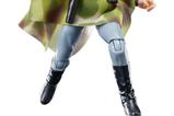 03-Star-Wars-Episode-VI-40th-Anniversary-Black-Series-Figura-Princess-Leia-Endor.jpg