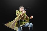 08-star-wars-episode-vi-40th-anniversary-black-series-figura-princess-leia-endor.jpg