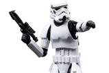 04-Star-Wars-Episode-VI-40th-Anniversary-Black-Series-Figura-Stormtrooper-15-cm.jpg