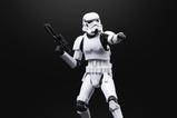 08-Star-Wars-Episode-VI-40th-Anniversary-Black-Series-Figura-Stormtrooper-15-cm.jpg