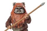 01-Star-Wars-Episode-VI-40th-Anniversary-Black-Series-Figura-Wicket-15-cm.jpg