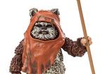 02-Star-Wars-Episode-VI-40th-Anniversary-Black-Series-Figura-Wicket-15-cm.jpg