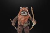 06-Star-Wars-Episode-VI-40th-Anniversary-Black-Series-Figura-Wicket-15-cm.jpg