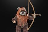 08-Star-Wars-Episode-VI-40th-Anniversary-Black-Series-Figura-Wicket-15-cm.jpg