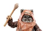 09-Star-Wars-Episode-VI-40th-Anniversary-Black-Series-Figura-Wicket-15-cm.jpg