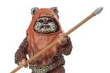 11-Star-Wars-Episode-VI-40th-Anniversary-Black-Series-Figura-Wicket-15-cm.jpg