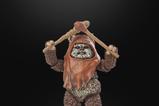 12-Star-Wars-Episode-VI-40th-Anniversary-Black-Series-Figura-Wicket-15-cm.jpg