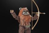 13-Star-Wars-Episode-VI-40th-Anniversary-Black-Series-Figura-Wicket-15-cm.jpg