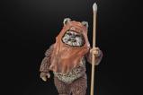 14-Star-Wars-Episode-VI-40th-Anniversary-Black-Series-Figura-Wicket-15-cm.jpg