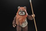 15-Star-Wars-Episode-VI-40th-Anniversary-Black-Series-Figura-Wicket-15-cm.jpg