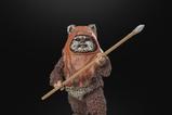 16-Star-Wars-Episode-VI-40th-Anniversary-Black-Series-Figura-Wicket-15-cm.jpg