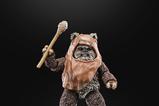 17-Star-Wars-Episode-VI-40th-Anniversary-Black-Series-Figura-Wicket-15-cm.jpg