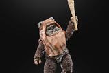 19-Star-Wars-Episode-VI-40th-Anniversary-Black-Series-Figura-Wicket-15-cm.jpg